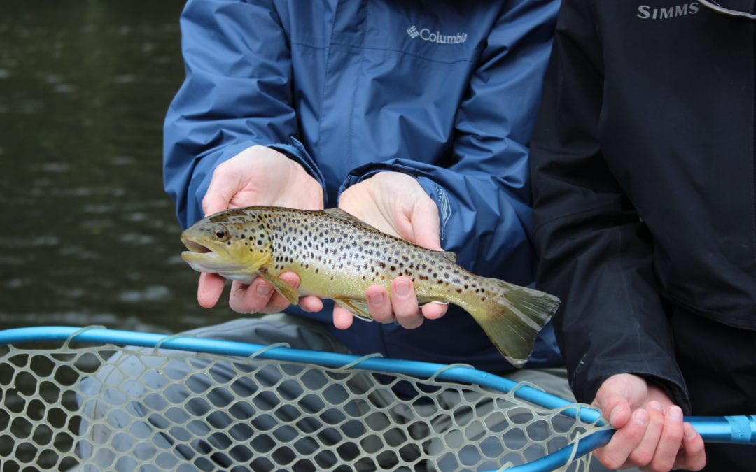 Mid February Fishing Report for Western North Carolina